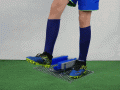 Czyszczak Integra Sport.gif